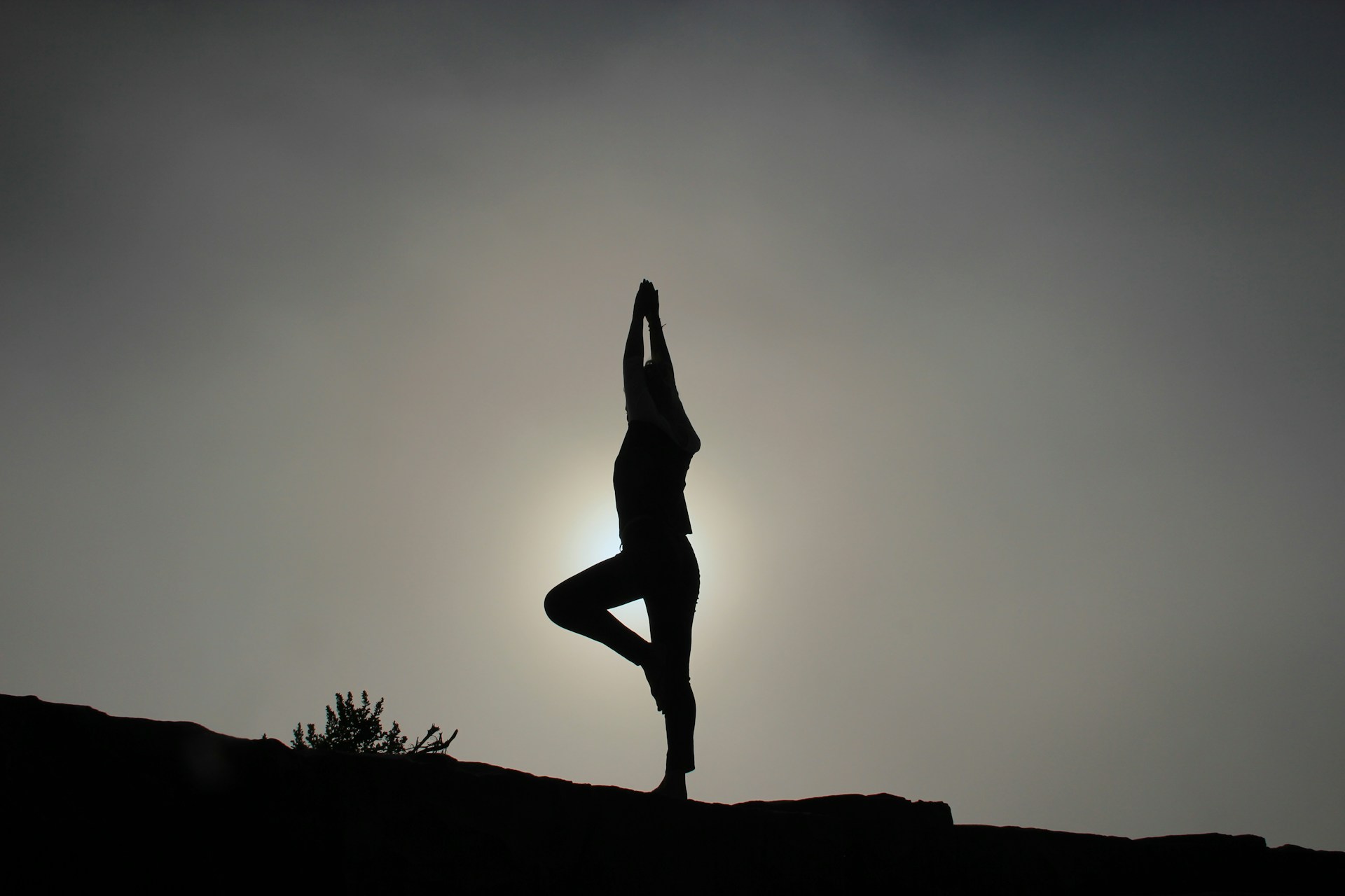 Read more about the article Yoga for Better Circulation: Poses & Practices for Healthy Blood Flow 