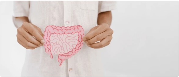 Read more about the article Unlocking Wellness: How Chiropractic Care Supports the Spine–Gut Health Connection