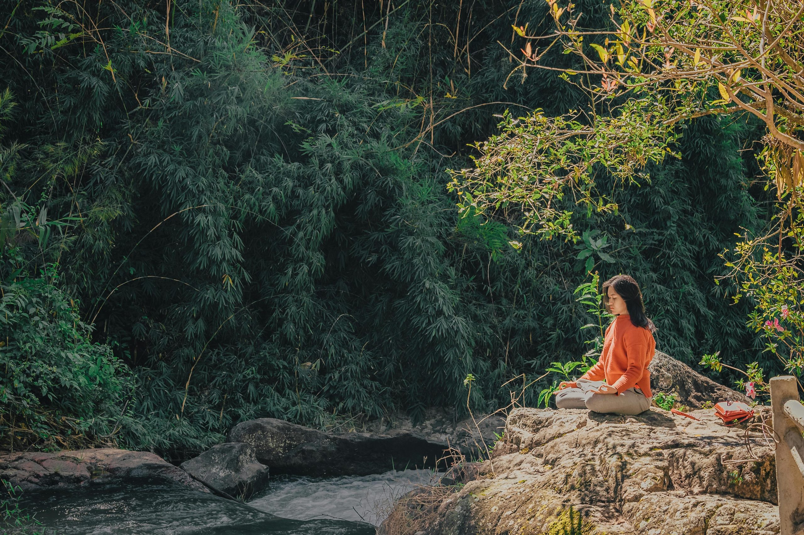 Read more about the article Exploring Therapeutic Yoga – A Path to Comprehensive Wellness 